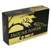 jaguar power